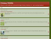 Tablet Screenshot of cholseywildlife.blogspot.com