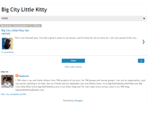 Tablet Screenshot of bigcitylittlekitty.blogspot.com