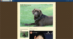 Desktop Screenshot of pelleerovraren.blogspot.com