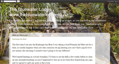 Desktop Screenshot of bluewatersailingcompany.blogspot.com