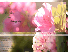 Tablet Screenshot of mytakeonphotography.blogspot.com
