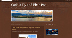 Desktop Screenshot of caddisflyandpixiepoo.blogspot.com