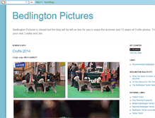 Tablet Screenshot of bedlingtondogs.blogspot.com