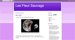 Desktop Screenshot of eve-lesfleursauvage.blogspot.com