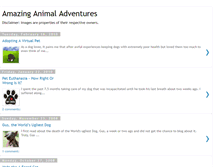 Tablet Screenshot of animal-adventures.blogspot.com