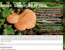 Tablet Screenshot of bellessauvagesetplus.blogspot.com