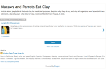 Tablet Screenshot of junglebirdseatclay.blogspot.com