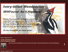 Tablet Screenshot of ibwfound.blogspot.com