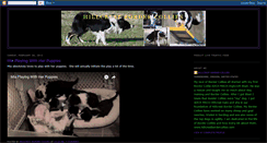 Desktop Screenshot of hillcrestbordercollies.blogspot.com