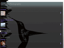 Tablet Screenshot of lepappephotography.blogspot.com