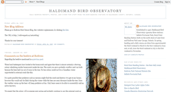 Desktop Screenshot of birdbanding.blogspot.com