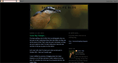 Desktop Screenshot of dansbirdingblog.blogspot.com