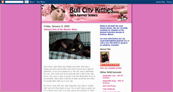 Desktop Screenshot of bullcitykitties.blogspot.com