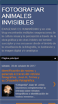 Mobile Screenshot of animalinvisible.blogspot.com