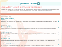 Tablet Screenshot of cichlidadvice.blogspot.com