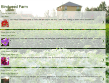 Tablet Screenshot of bindweedfarm.blogspot.com