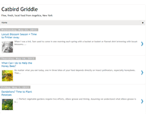 Tablet Screenshot of catbirdgriddle.blogspot.com