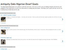 Tablet Screenshot of nigeriandwarfgoats.blogspot.com