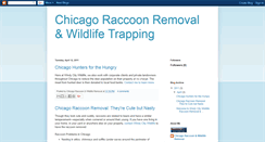 Desktop Screenshot of chicagoraccoonremoval.blogspot.com