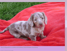 Tablet Screenshot of huckleberry-dogs.blogspot.com