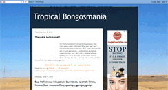 Desktop Screenshot of bongosmania.blogspot.com