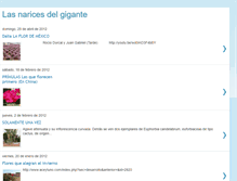 Tablet Screenshot of naricesgigante.blogspot.com