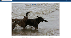 Desktop Screenshot of gustheblueheeler.blogspot.com