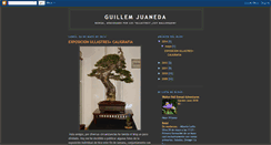 Desktop Screenshot of guillemjuaneda.blogspot.com