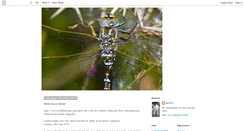 Desktop Screenshot of aeshna-juncea.blogspot.com