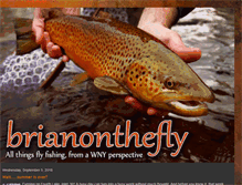 Tablet Screenshot of brianonthefly.blogspot.com
