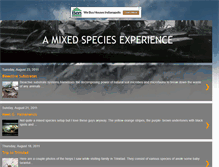 Tablet Screenshot of bsteel-amixedspeciesexperience.blogspot.com