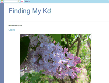 Tablet Screenshot of findingmykd.blogspot.com