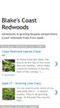 Mobile Screenshot of coastredwoods.blogspot.com