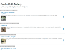 Tablet Screenshot of cammoths.blogspot.com