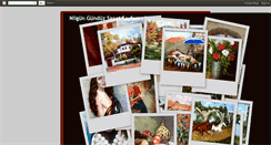 Desktop Screenshot of nilgungunduz.blogspot.com