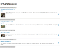 Tablet Screenshot of kngphotography409.blogspot.com