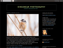 Tablet Screenshot of dingobearfoto.blogspot.com