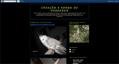 Desktop Screenshot of guimaraespassaros.blogspot.com