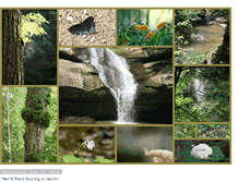 Tablet Screenshot of naturesscenicview.blogspot.com