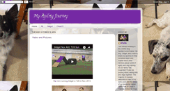 Desktop Screenshot of myagilityjourney.blogspot.com