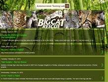 Tablet Screenshot of 1bigcatrescue.blogspot.com