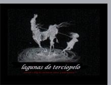 Tablet Screenshot of lagunasdeterciopelo.blogspot.com