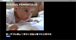 Desktop Screenshot of buriculpamantului.blogspot.com
