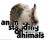 Tablet Screenshot of animalsstandingonanimals.blogspot.com