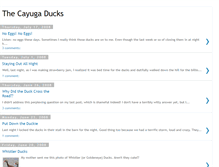 Tablet Screenshot of cayugaducks.blogspot.com