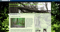 Desktop Screenshot of explorediscoverconnect.blogspot.com