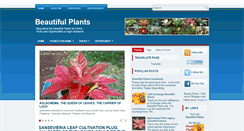 Desktop Screenshot of beautifulplant.blogspot.com