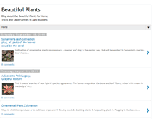Tablet Screenshot of beautifulplant.blogspot.com