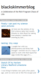 Mobile Screenshot of blackskimmer.blogspot.com