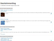 Tablet Screenshot of blackskimmer.blogspot.com